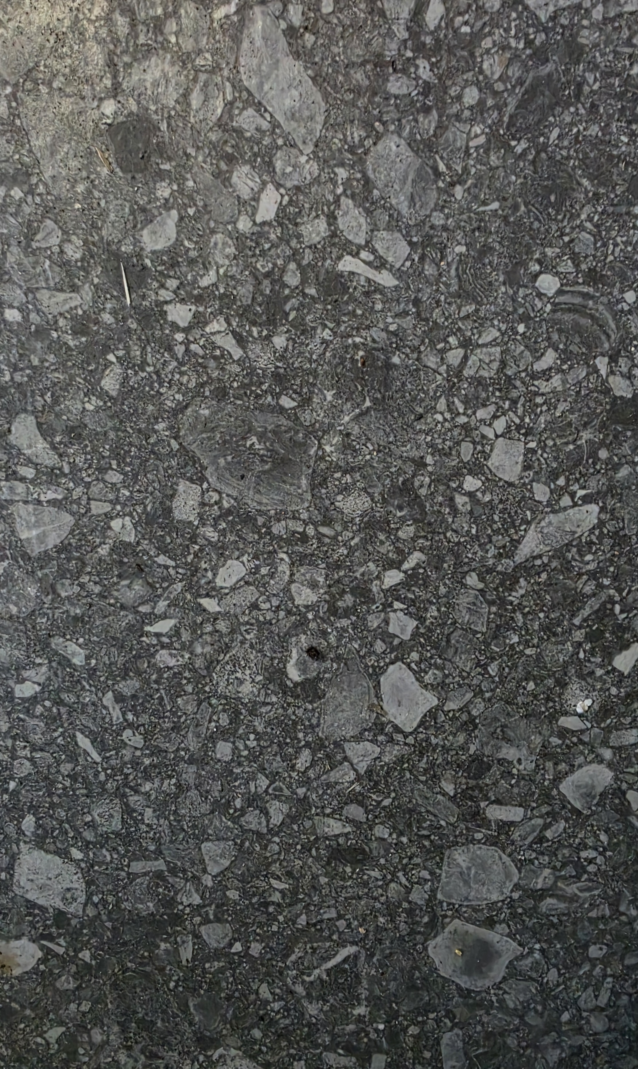 Wand- und Bodenfliese Tuscania Anthracite